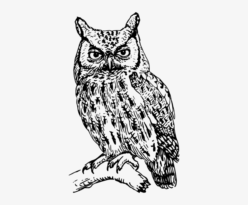 Great Grey Owl Clipart Hard - Owl Clipart Black And White, transparent png #466411