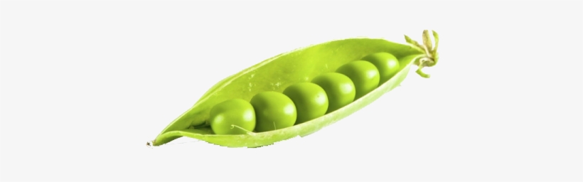 Sweet Peas Vegetables Png, transparent png #466450