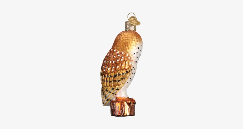 Barn Owl Ornament - Gl Orn Hunting Dog, transparent png #466451