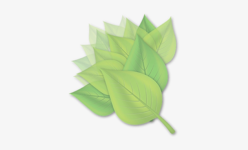 Leave A Reply Cancel Reply - Maple Leaf, transparent png #466673
