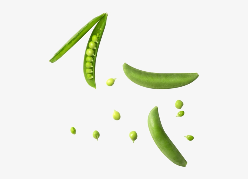 Peas - Snap Pea, transparent png #466698