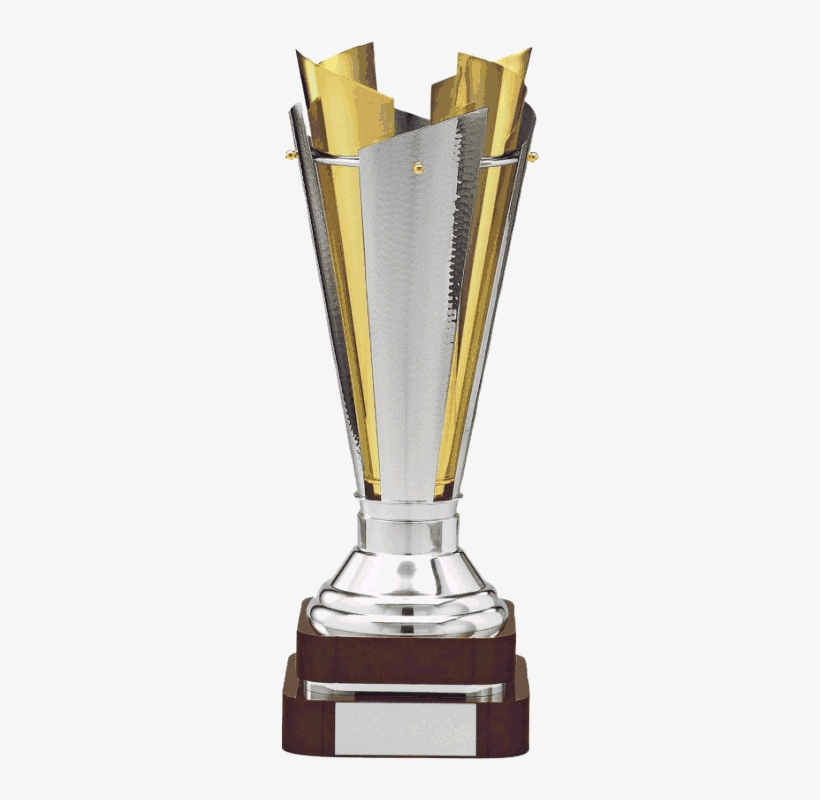 Gold/silver Plated Sartor Trophy - Sports Award, transparent png #466789