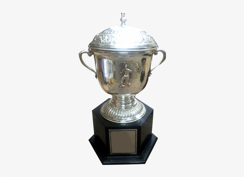 Silver Trophy - Trophy, transparent png #466894