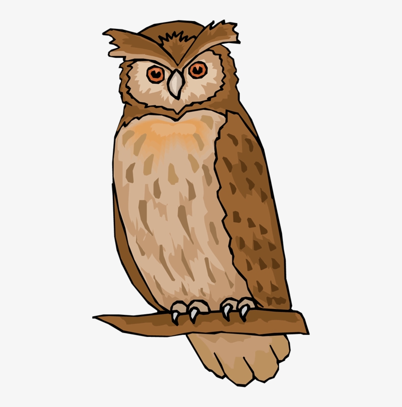 Vector Owl Barn - Clipart Of Owl, transparent png #466938