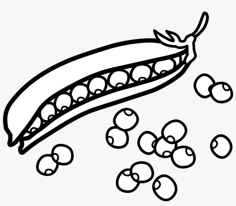 Pea Clipart Pod Real - Peas Black And White Clip Art, transparent png #467529