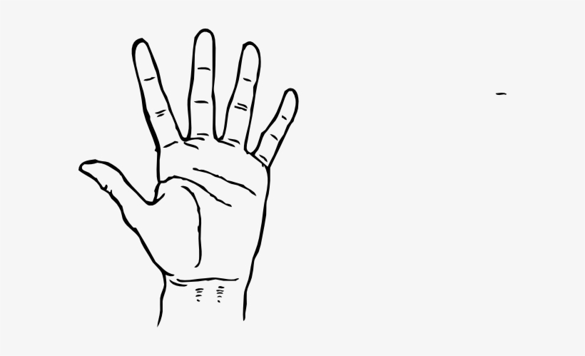 Clip Art Finger - Fingers Name In Hindi, transparent png #467726