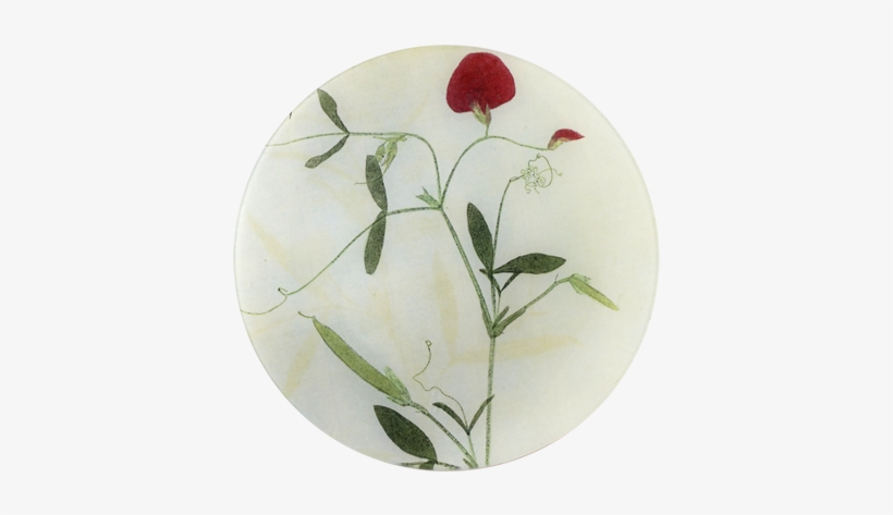 Lathyrvs Pressed Leaves - Sweet Pea, transparent png #467751