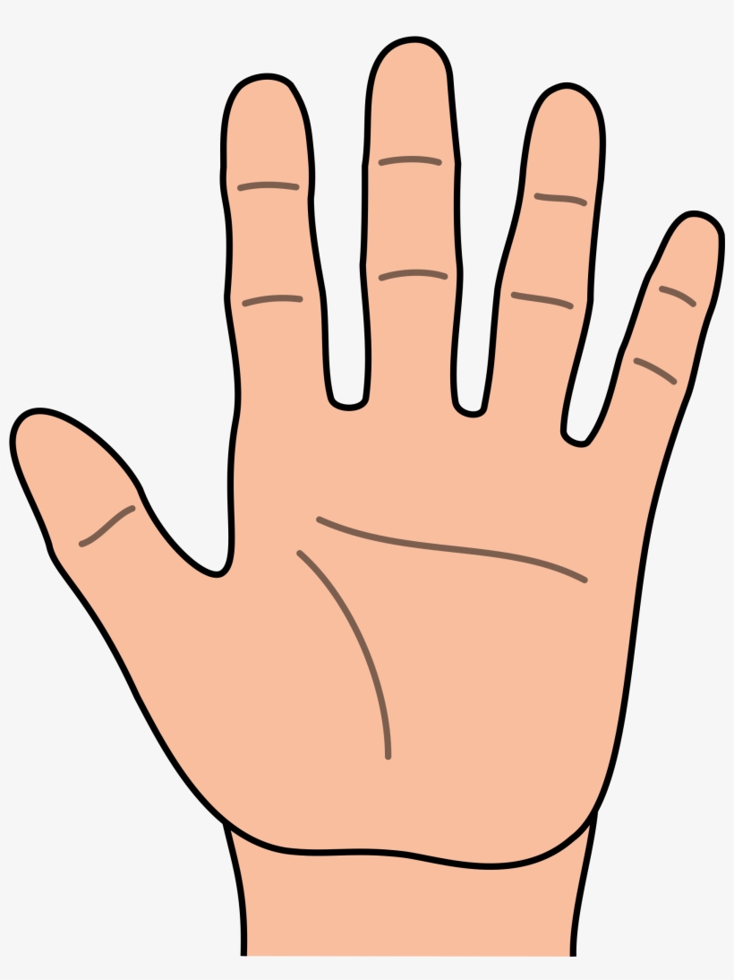 Printable Template For Kids Jose Mulinohouse Co - Clipart Of Hand, transparent png #467821