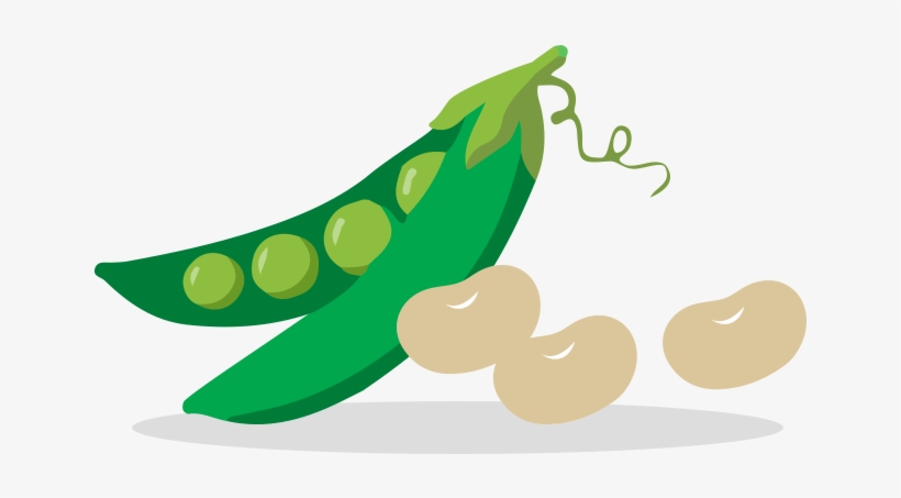 Fruits And Veggies Vegetables Beans - Vegetable, transparent png #468082