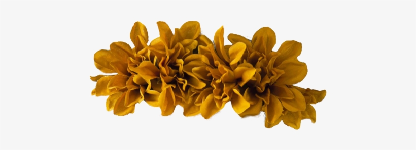 Tumblr Static Flower - Flower Crown Orange Png, transparent png #468258