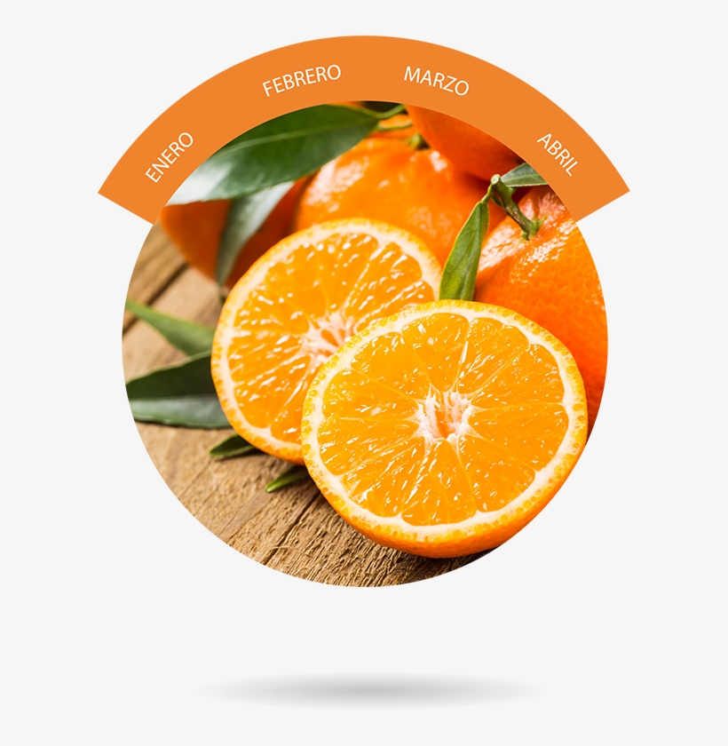 Naranja - みかんの皮パウダー (陳皮パウダー) 100g みかん/皮/陳皮/パウダー/粉末/花粉 【メール便】, transparent png #468720