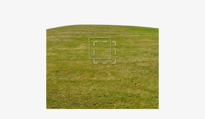 Grass On Hill - Grass, transparent png #468850