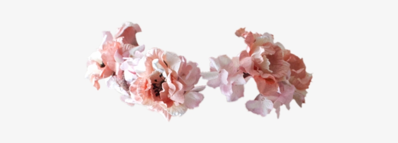 Tumblr Transparent Flower Crown Download - Flower Crown Meme, transparent png #468929