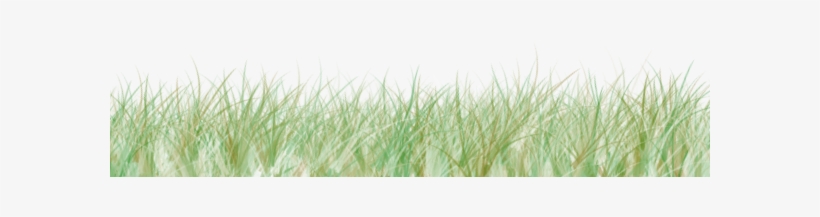 Si Pendek Berceloteh - Grasses, transparent png #469098