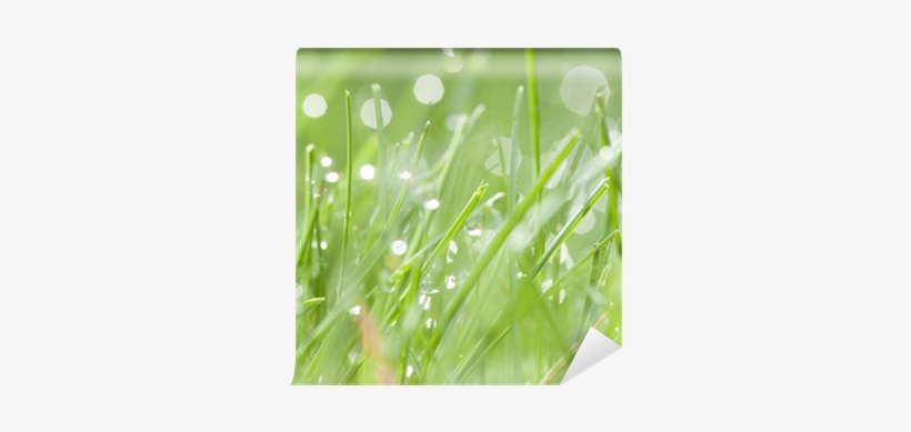 Go To Image - Water, transparent png #469160