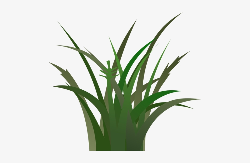 Grass Background Clipart - Grass Clipart, transparent png #469207