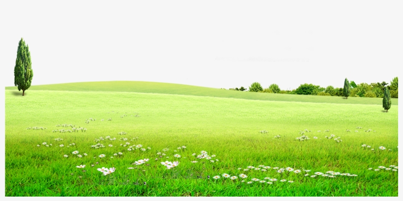 Graphic Stock Land Grassland For Free Download On - Green Grass Background Png, transparent png #469480