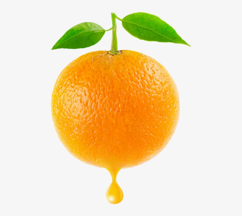 Orange, transparent png #469530