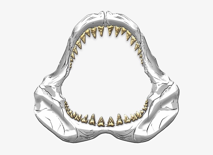 Shark Drawing Jaws - Great White Shark Jaws Drawing, transparent png #469624