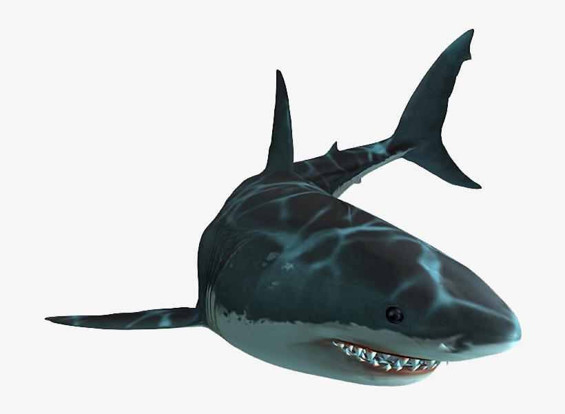 Jaws Unleashed Shark - Jaws Unleashed Great White Shark, transparent png #469642