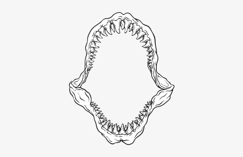 Drawing Shark Jaws - Great White Shark Jaw Drawing, transparent png #469809