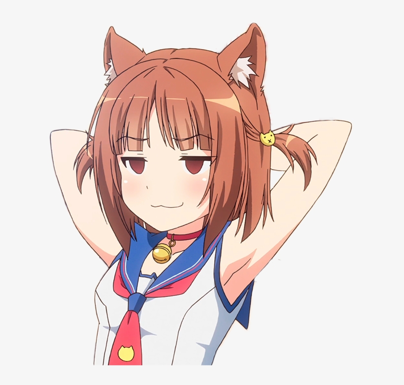 View Samegoogleiqdbsaucenao 1513949447873 , - Nekopara Ova Azuki, transparent png #469851