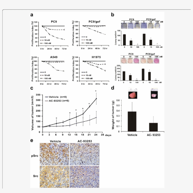 Suppressive Effects Of Ac 93253 Iodide On Tumor Cell - Illustration, transparent png #4602180