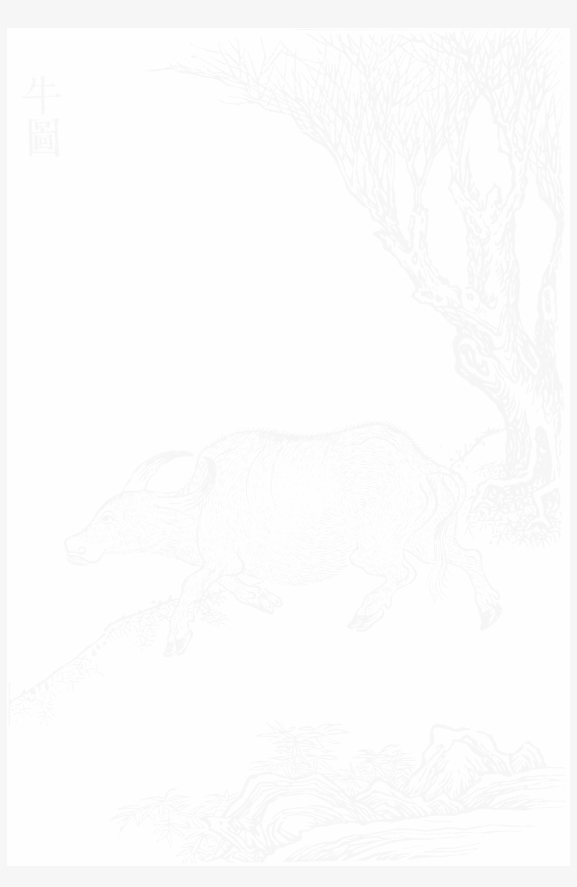 File - Imperial Encyclopaedia - Animal Kingdom - Pic225 - Sketch, transparent png #4605244