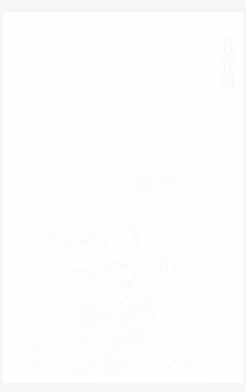 File - Imperial Encyclopaedia - Animal Kingdom - Pic046 - Drawing, transparent png #4605661