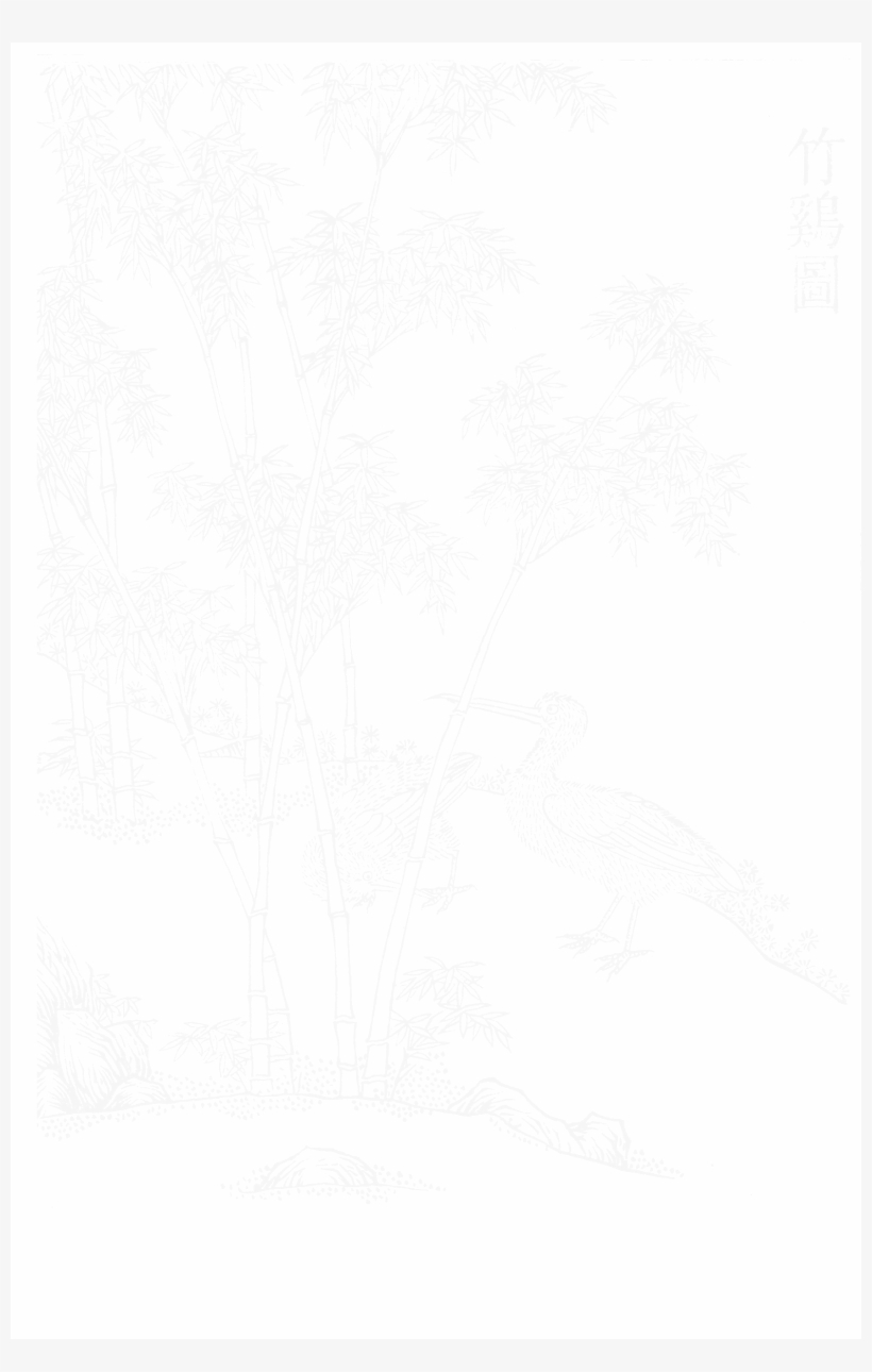 File - Imperial Encyclopaedia - Animal Kingdom - Pic040 - Line Art, transparent png #4605733