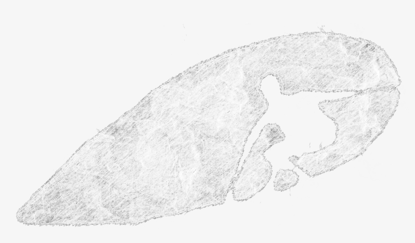 Christiansurfers Competitors, Revenue And Employees - Shadow, transparent png #4606917