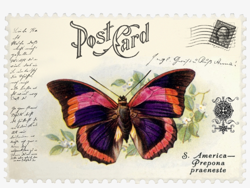 Juno Ccrl Your King Is Comingjuno Vintage Butterfly - Stampers Anonymous Tim Holtz Cling Rubber Stamp Set,, transparent png #4609438