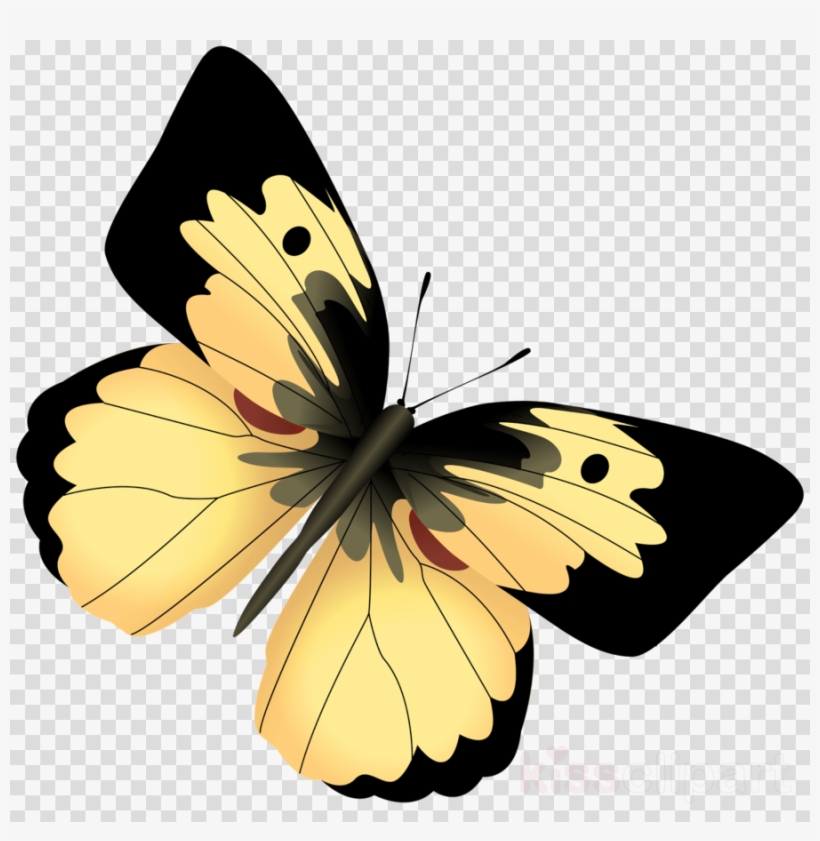 Black Butterfly Png Clipart Black Swallowtail Swallowtail - Mariposa Amarilla Con Negro, transparent png #4610006
