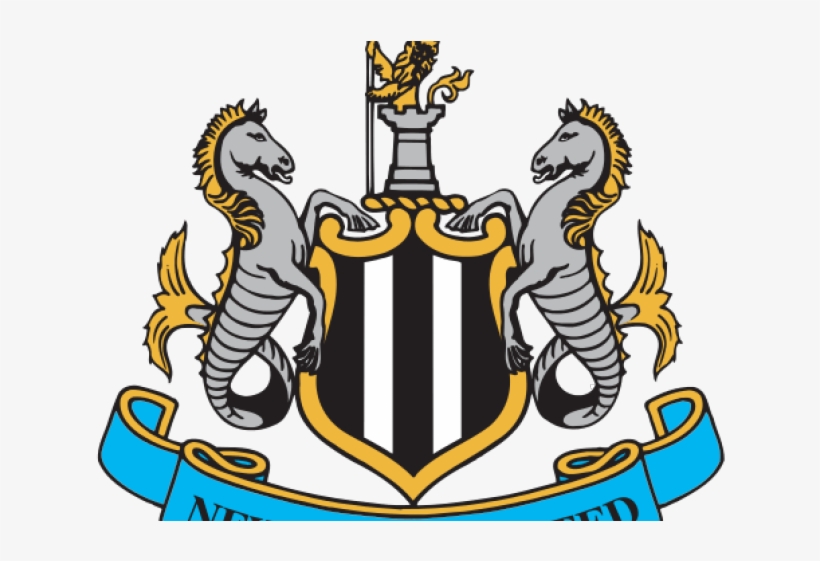 Norwich City F - Newcastle United Vs Fulham, transparent png #4610208