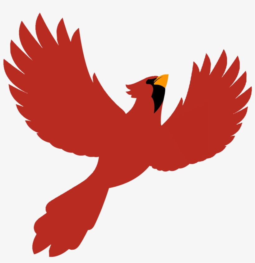 Apnc Color - Bird, transparent png #4611232