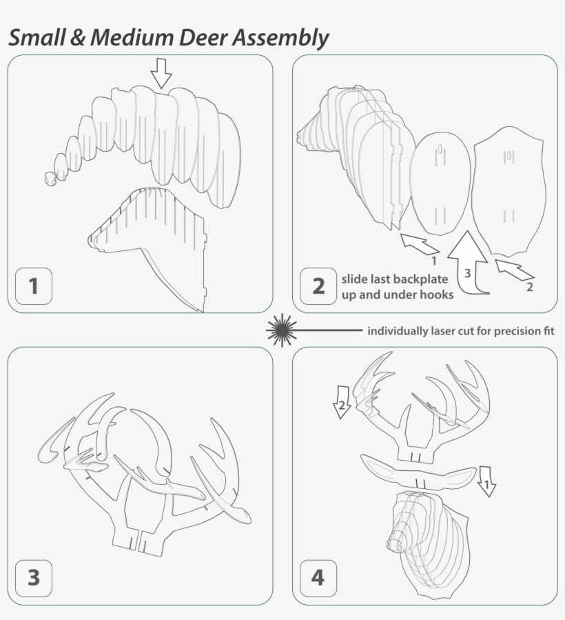 Buck Birch Wood U - Cardboard, transparent png #4611454