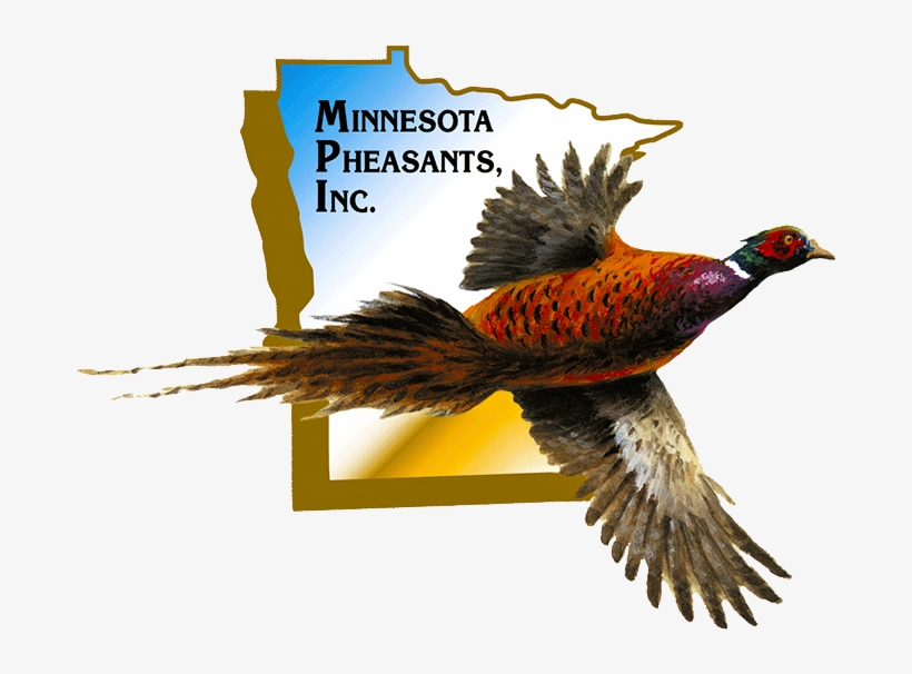 Get In Touch - Minnesota, transparent png #4612516