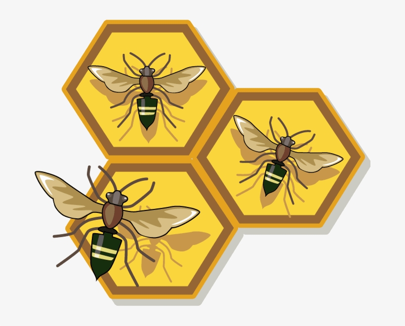 Honeycomb - Honey Bee Free Clip Art, transparent png #4612823