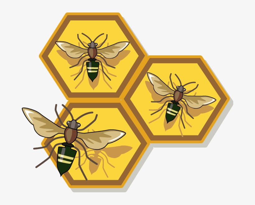 images Honey Bee Hive Images Free honeycomb honey bee free clip art
