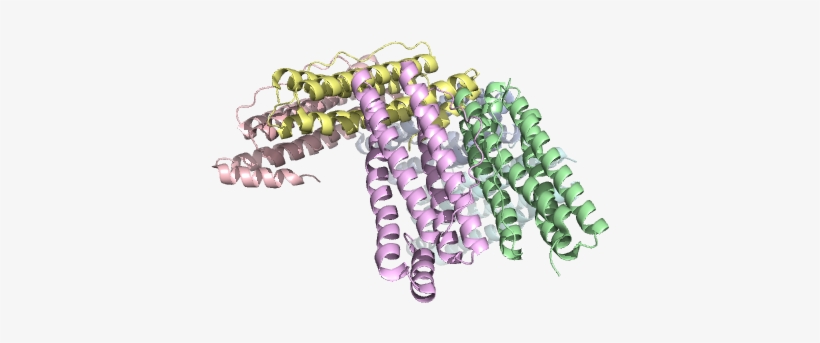 4ztt 1eum 4xgs 4reu - Chain, transparent png #4613683