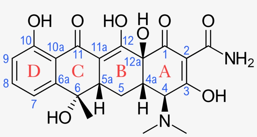 Bactroban Buy Online - Tetracycline Structure With Numbering, transparent png #4615226