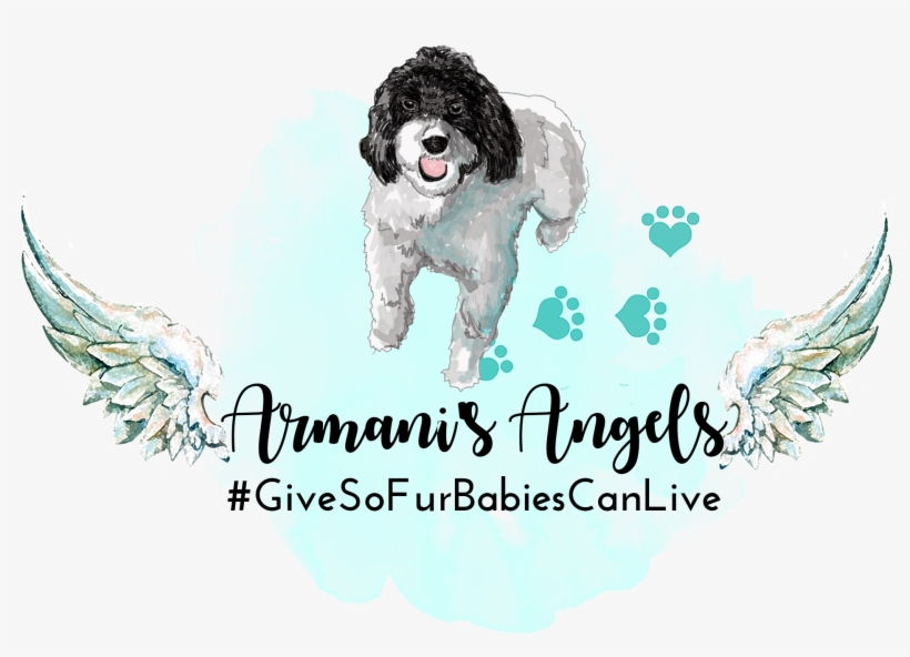 Armani's Angels - Polymer Clay Dot Studs - Set Of 3 (mustard/minty-white/black), transparent png #4615558