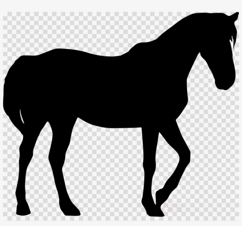 Goat Silhouette Clipart Anglo-nubian Goat Nigerian - Horse Silhouette Png, transparent png #4616224