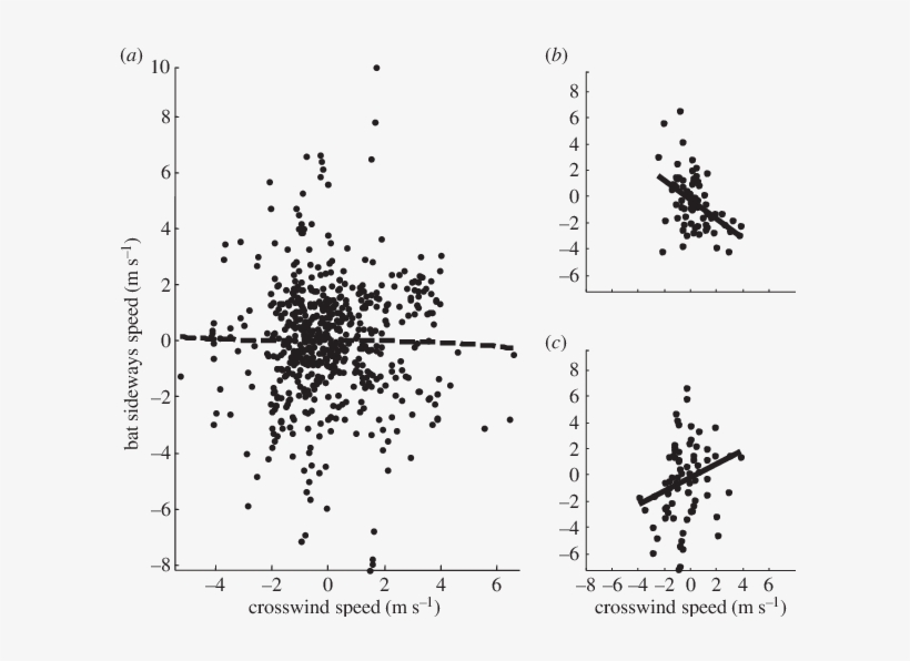 Relationship Between Bat Sideways Speed And Crosswind - Flight, transparent png #4617155