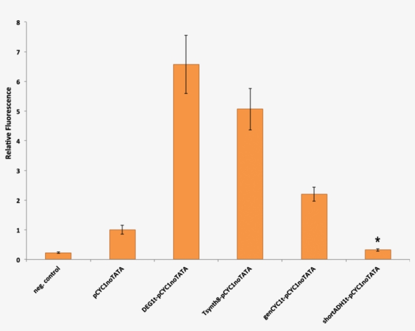 Characterization Of Synthetic Promoters Made Of A Terminator - Common Fig, transparent png #4618939