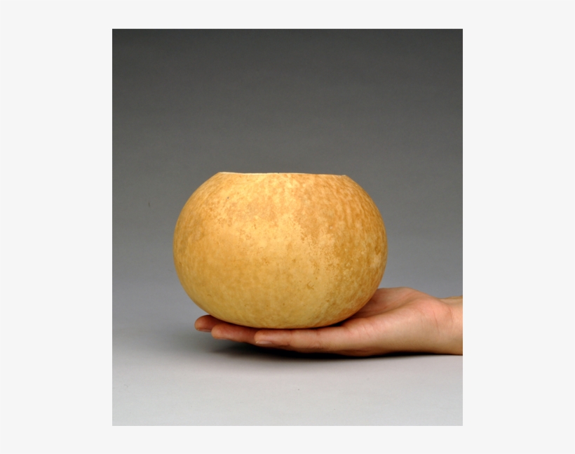 Gourd Bowls, Pre Cut And Craft Ready - Gourd, transparent png #4621372