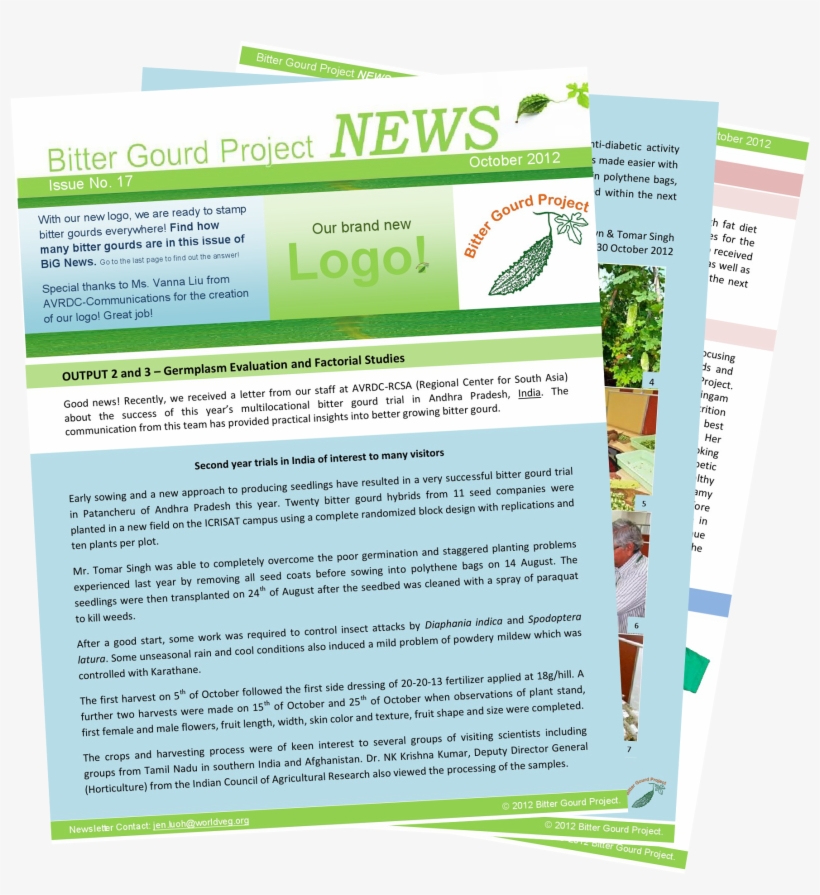 Find The Bitter Gourds In This Month's Issue Of Big - Flyer, transparent png #4622022