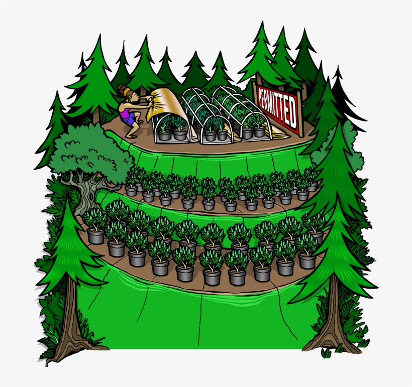 Mountain Top Biggest - Illustration, transparent png #4623867