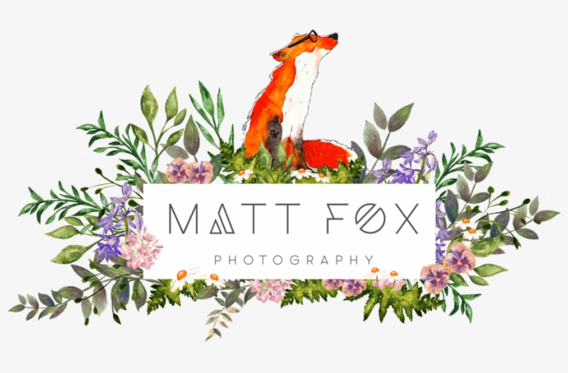 Matt Fox Photography, transparent png #4624832