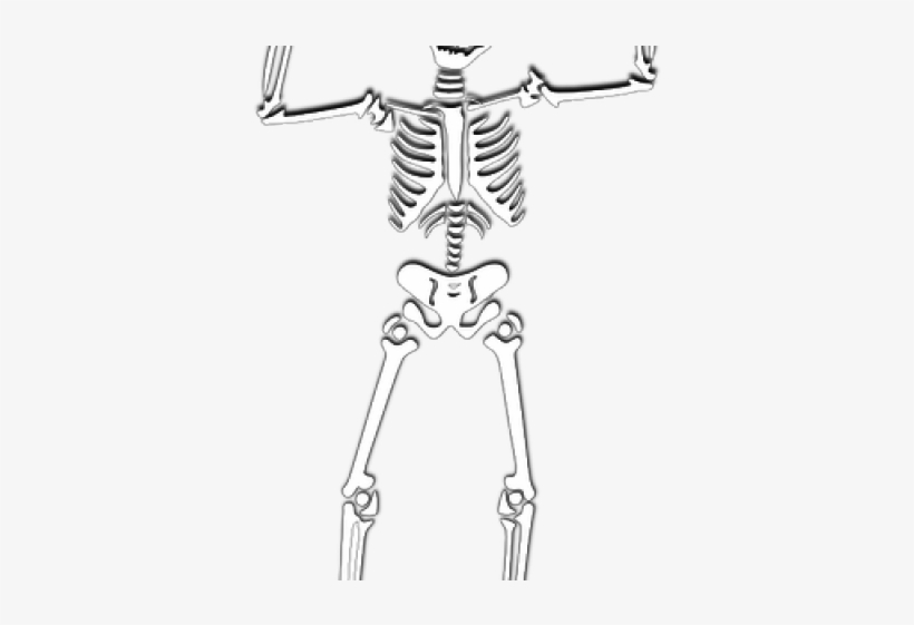 Halloween Skeleton Png, transparent png #4625048